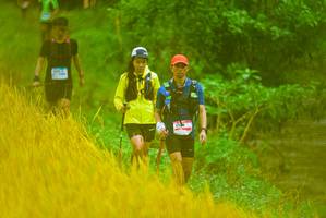 BIB: 
                            <button type="button" onclick="openModal(13455505)" class="btn btn-primary btn-sm float-right btn-popup" data-toggle="modal" data-target=".modal-high-quality">
                        <i class="fas fa-shopping-cart"></i> Add to Cart
                    </button>
                                            <button type="button" onclick="isThisMe(13455505, true)" class="btn btn-success btn-sm float-right btn-popup btn-isme hidden" data-toggle="tooltip" data-placement="bottom" title="นี่คือรูปของคุณใช่ไหม คลิกที่นี่เพื่อเอาเข้าอัลบั้ม">
                        <i class="fas fa-plus"></i> Add to album
                    </button>
                    <button type="button" onclick="isThisMe(13455505, false)" class="btn btn-warning btn-sm float-right btn-popup btn-isnotme hidden">
                        <i class="fas fa-ban"></i> Remove from album
                    </button>